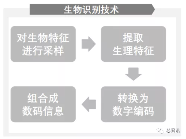 滤光片