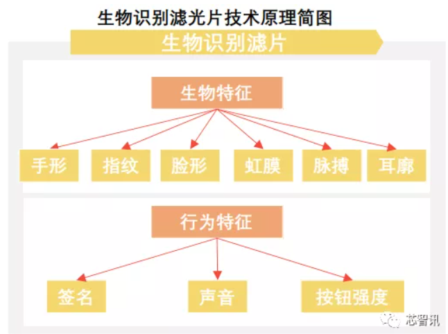 滤光片