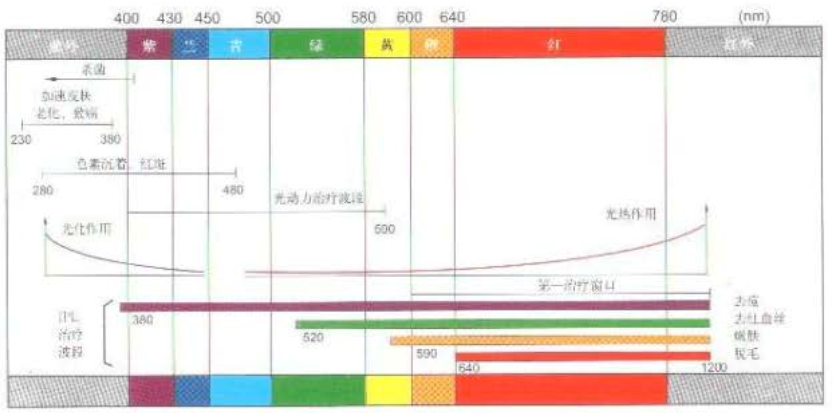 光子各类波长对皮肤的影响
