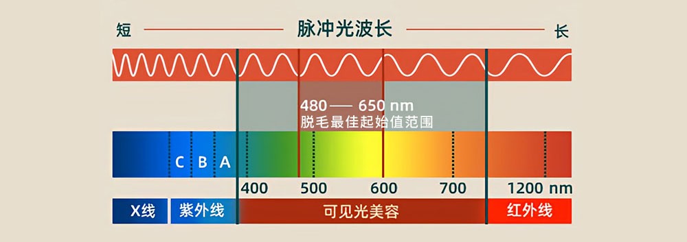 脱毛仪 脱毛仪