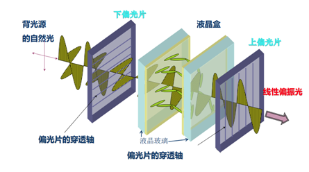 滤光片 滤光片
