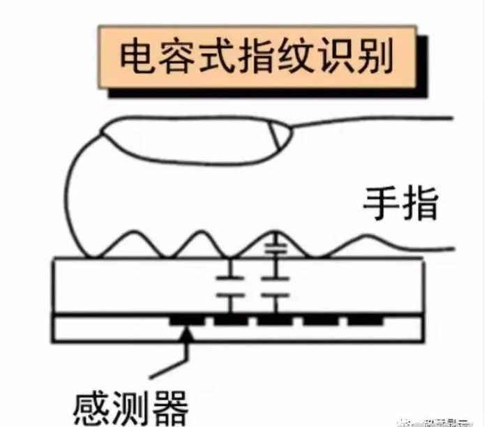电容式指纹鉴别