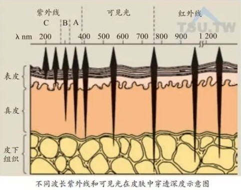 激光美容波长对皮肤危险最幼