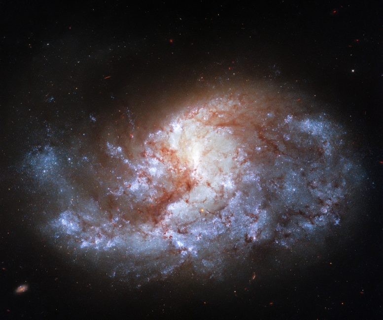 棒旋星系NGC1385图像2 棒旋星系NGC1385图像2