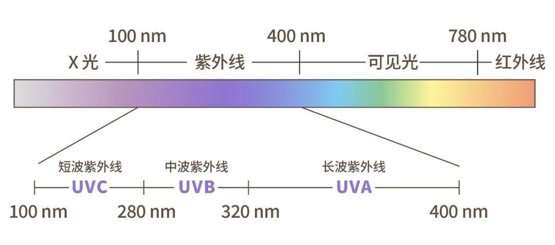 滤光片 过问滤光片道理