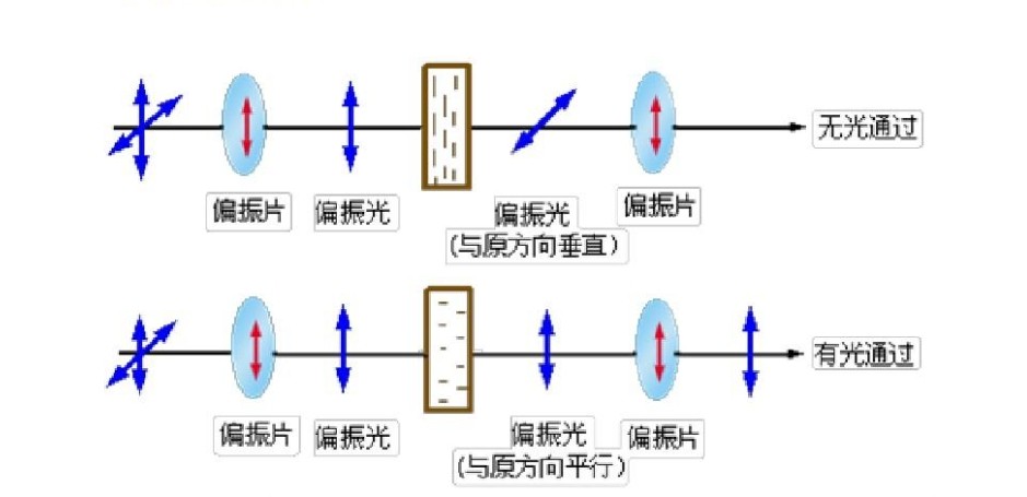 滤光片