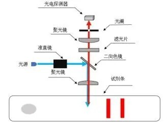 共聚光路道理图 共聚光路道理图