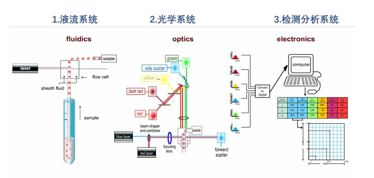 滤光片 流式细胞仪道理图