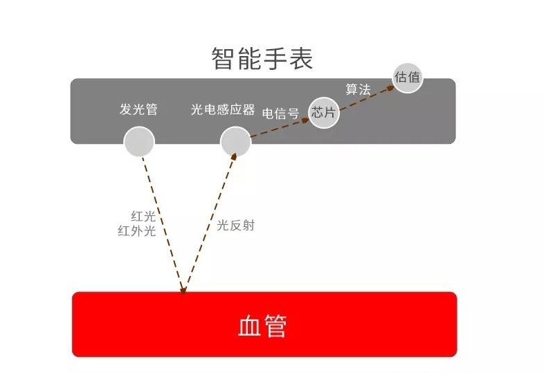 智能腕表测血氧道理 智能腕表测血氧道理