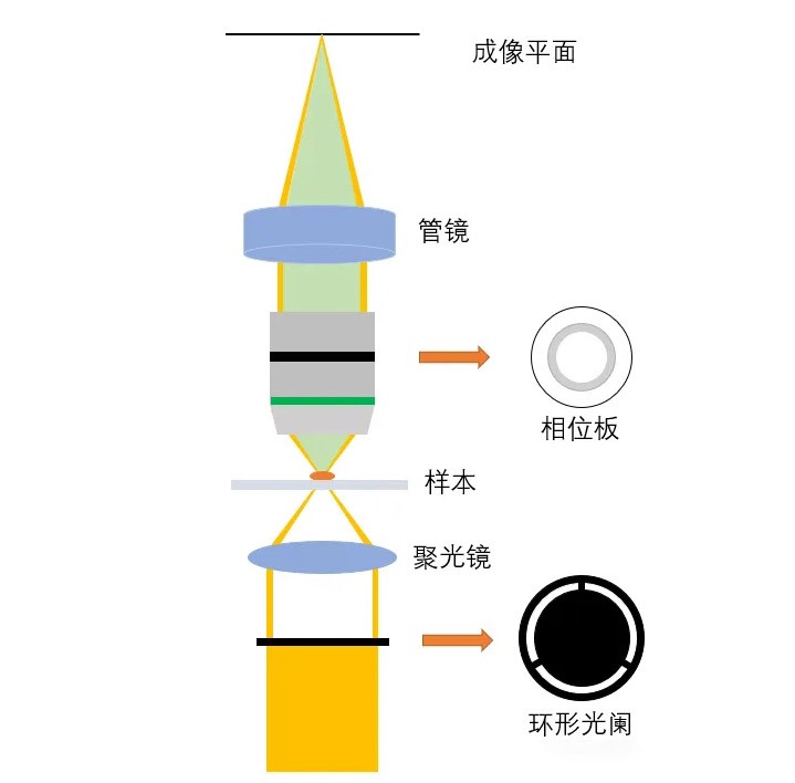光学系统与工作道理 光学系统与工作道理