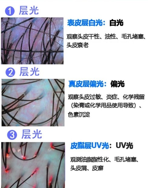 分歧光仇家发的观测成效 分歧光仇家发的观测成效