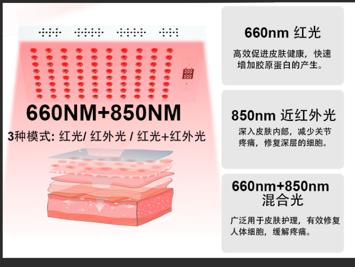 红光理疗仪 红光理疗仪