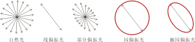 什么是偏振光？偏振光是若何实现检测的？