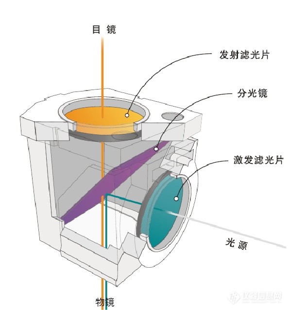 显微镜滤光片