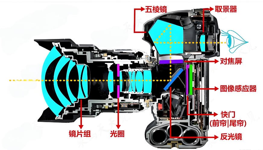 单反相机光学系统 单反相机光学系统