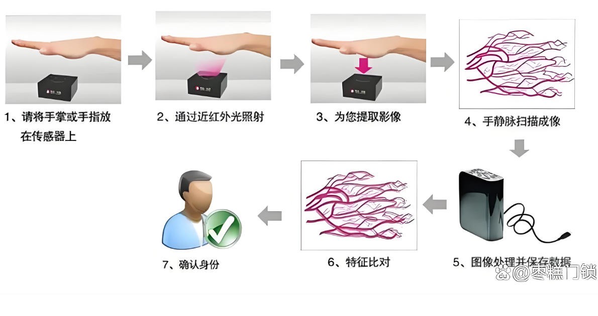 滤光片 掌静脉鉴别图