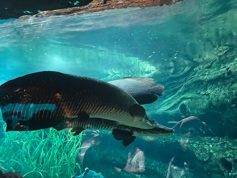 滤光片 滤光片