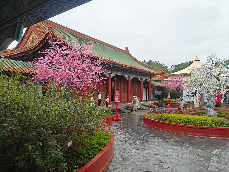 滤光片 滤光片