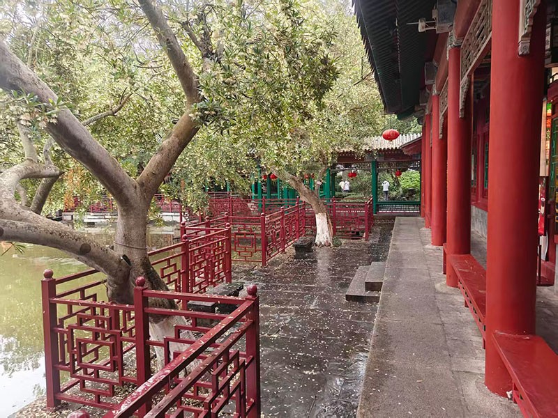 滤光片 滤光片