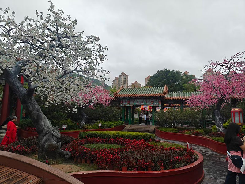 滤光片 滤光片