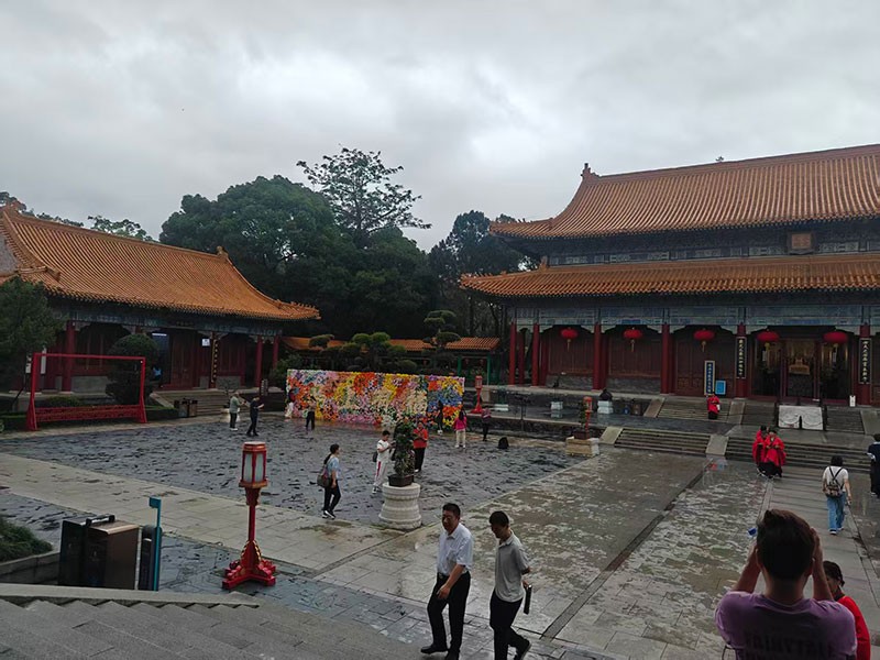 滤光片 滤光片