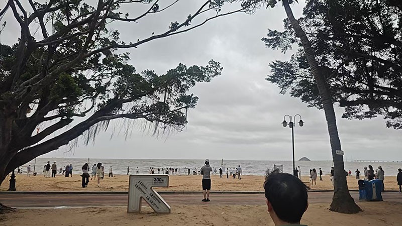 滤光片 滤光片