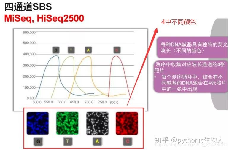 基因测序仪 基因测序仪