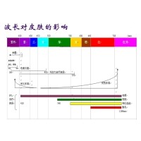 IPL技术道理特点及其利用