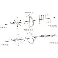 光的魔术师：偏光镜若何塑造人类的光学世界